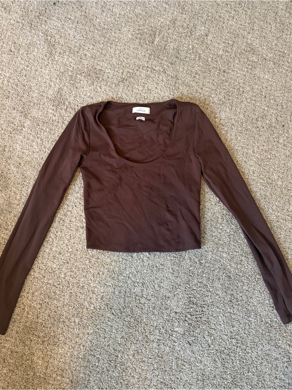 Aritzia Babaton contour long sleeve brown top